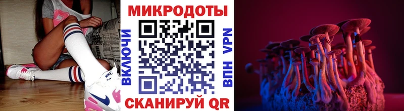 Псилоцибиновые грибы GOLDEN TEACHER  Купить где  Мариинский Посад 